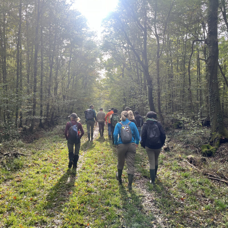 Calendario Visite 2026 – Il Sentiero Naturalistico di Bosco Sacile in Carlino (UD)